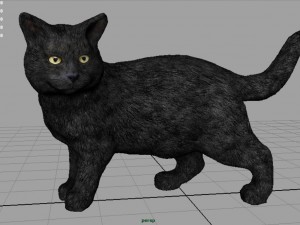 探索猫咪领域的三维技术革新，3D老猫新动态
