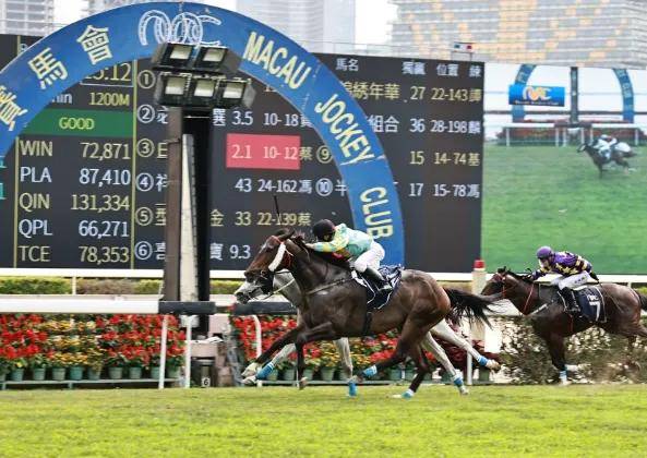 2024澳门特马今晚开,专业解读操行解决_高级版86.777