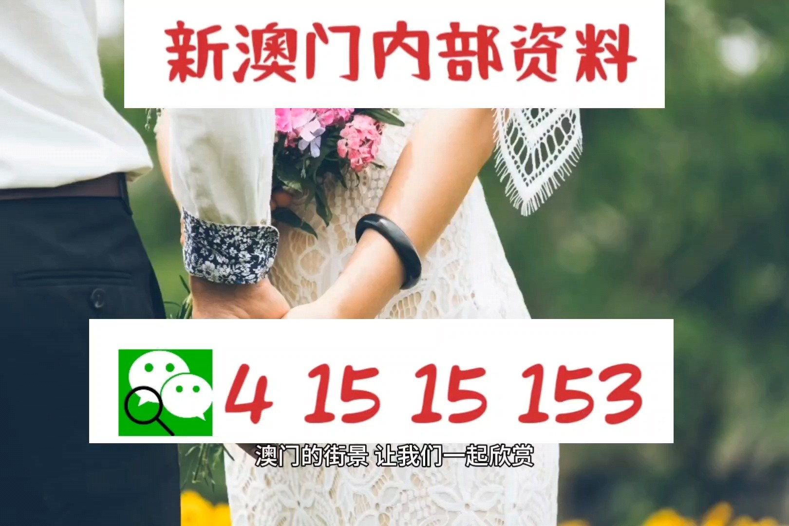 ＂新澳2024今晚开奖资料四不像＂的：实地研究解答协助_精致生活版7.38