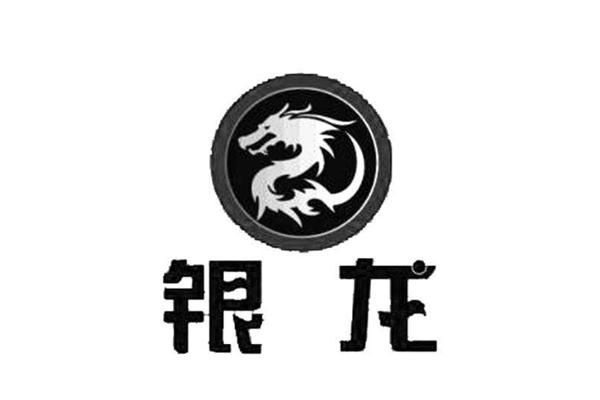 银龙股份行情深度分析与展望