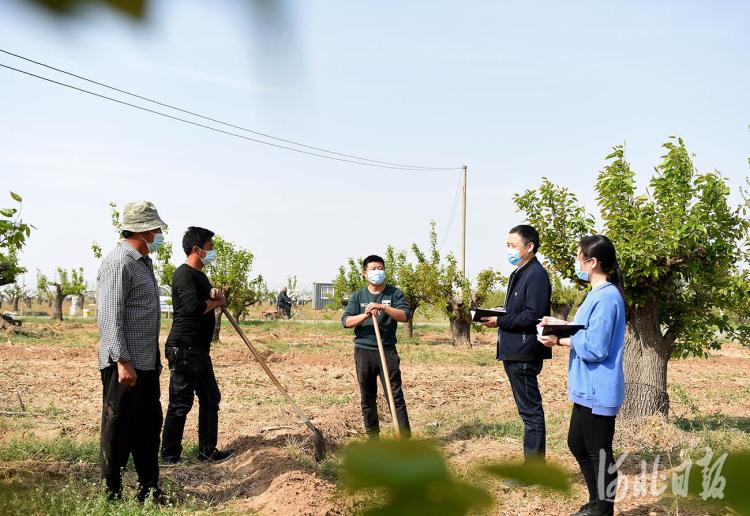 宁晋双井最新资讯，学习之光照亮未来，自信与成就感的旅程启程