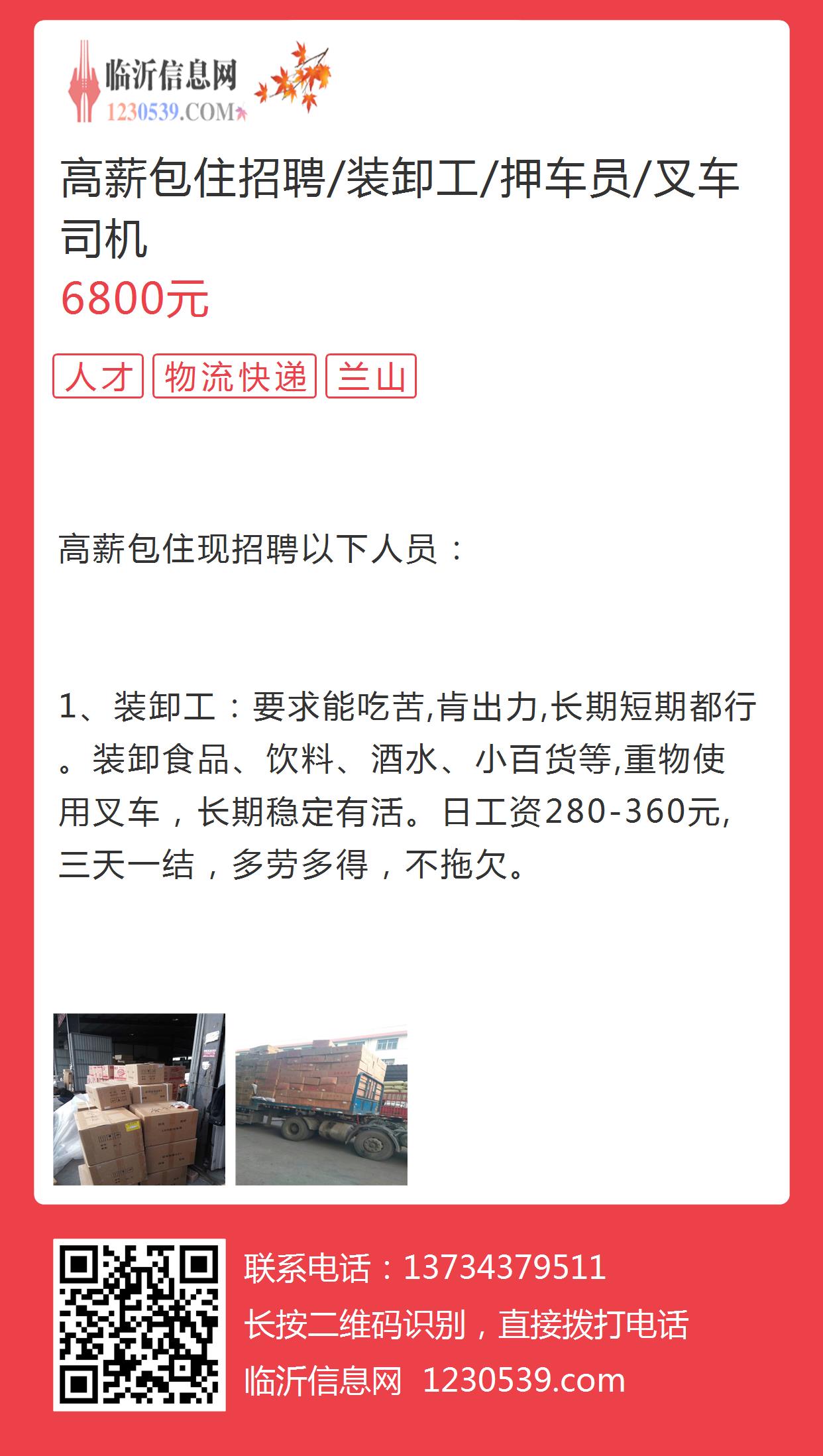 临潼司机招聘信息更新，驾驭未来的车轮，与机遇同行