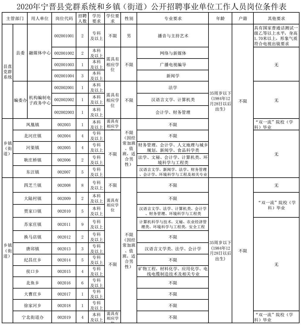 宁晋招聘资讯速递,宁晋招聘资讯速递，小巷深处的独特招聘故事