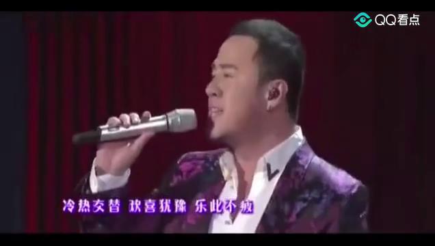 火歌最新，小巷深处的独特音符