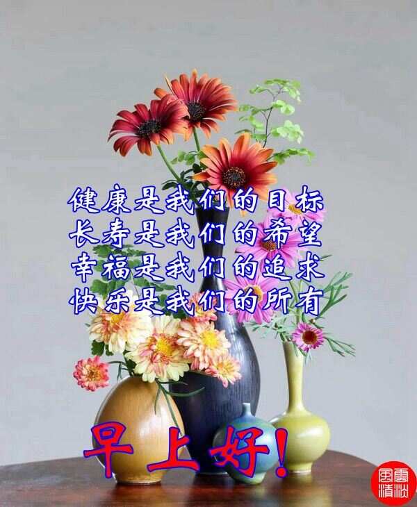 最新每日寄语，探寻生活真谛，个人立场与感悟分享