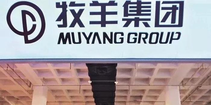 牧羊案迷雾重重，真相揭秘之路