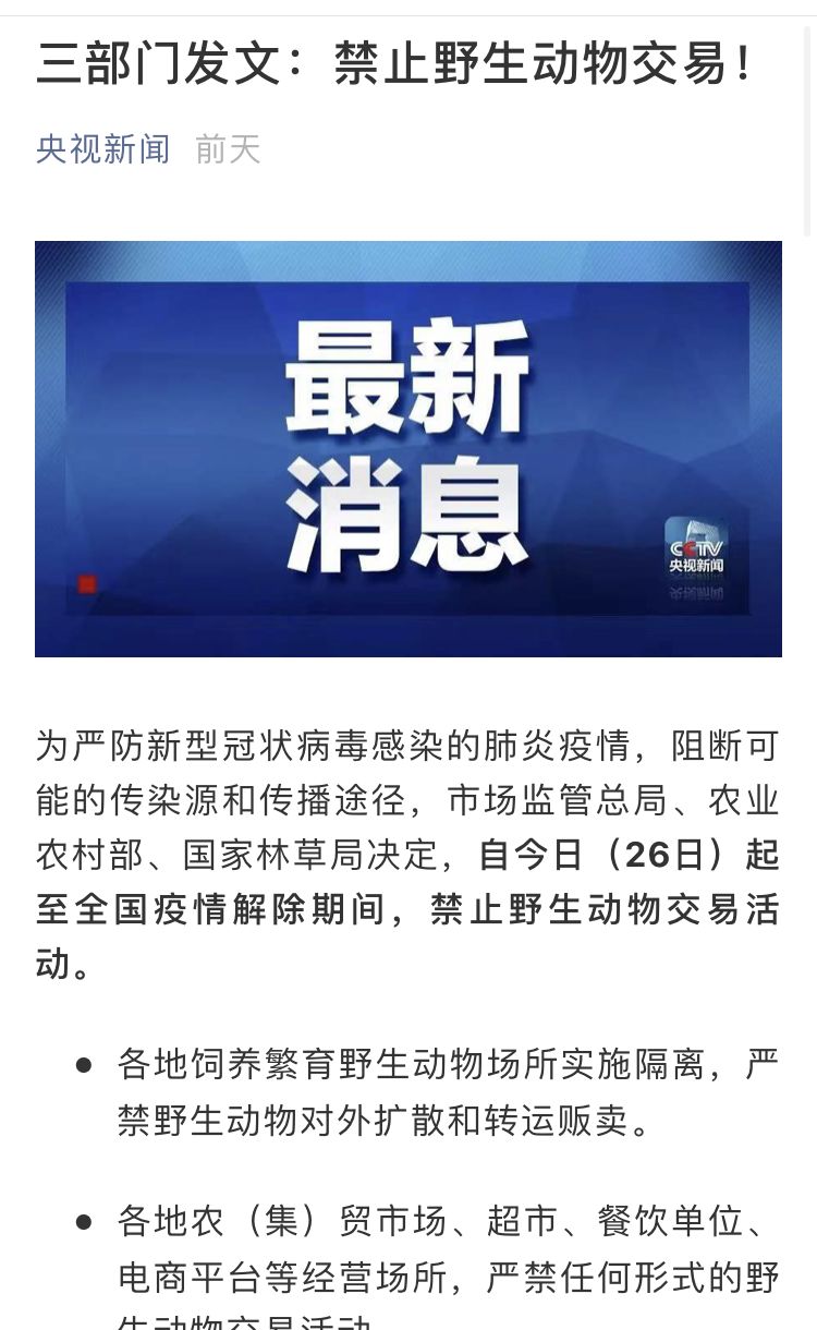 疫情下的学习变革，铸就自信与成就的力量之路